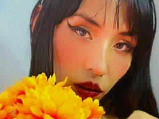 Chat Now with ANALLFETISHXXX